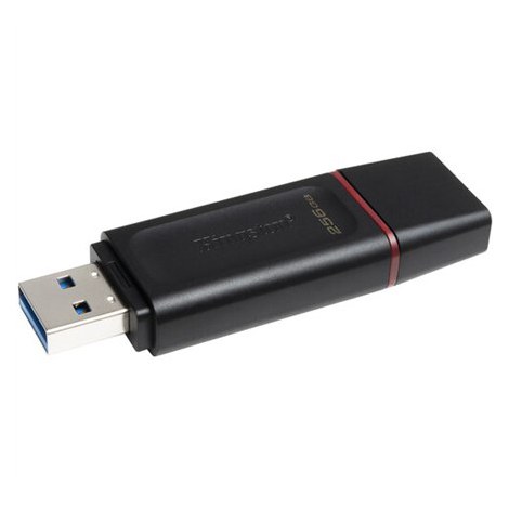 Kingston | USB Flash Drive | DataTraveler Exodia | 256 GB | USB 3.2 Gen 1 | Black